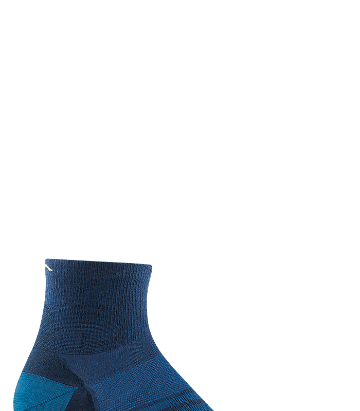 Darn Tough Run 1/4 Ultra-Lightweight Eclipse