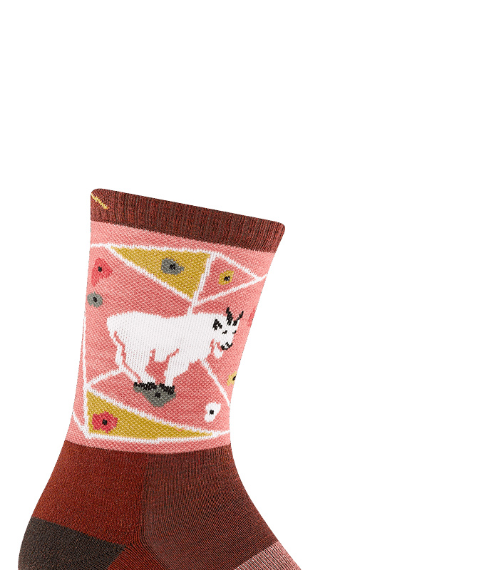 Darn Tough Critter Club Micro Crew Lightweight with Cushion Canyon