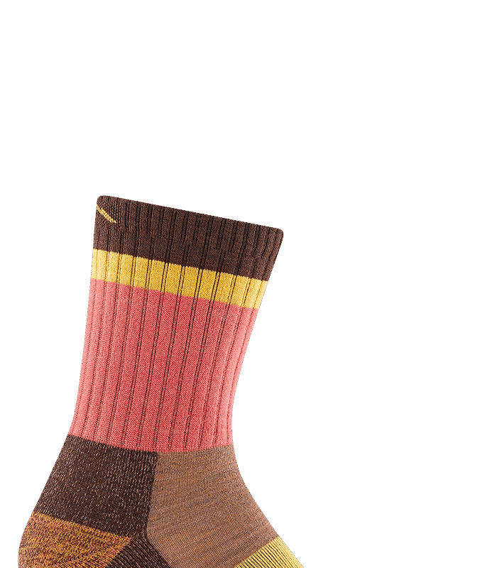 Darn Tough Heady Betty Micro Crew Lightweight with Cushion Earth