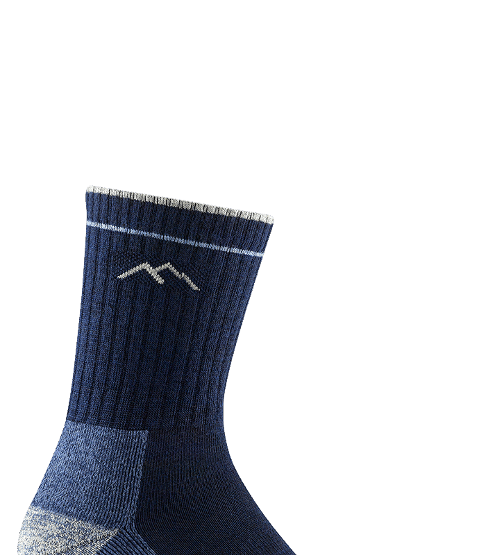 Darn Tough Hiker Micro Crew Midweight with Cushion Eclipse