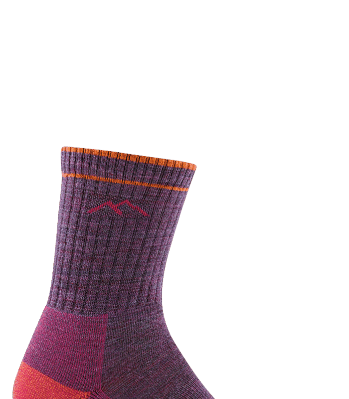 Darn Tough Hiker Micro Crew Midweight with Cushion Plum Heather