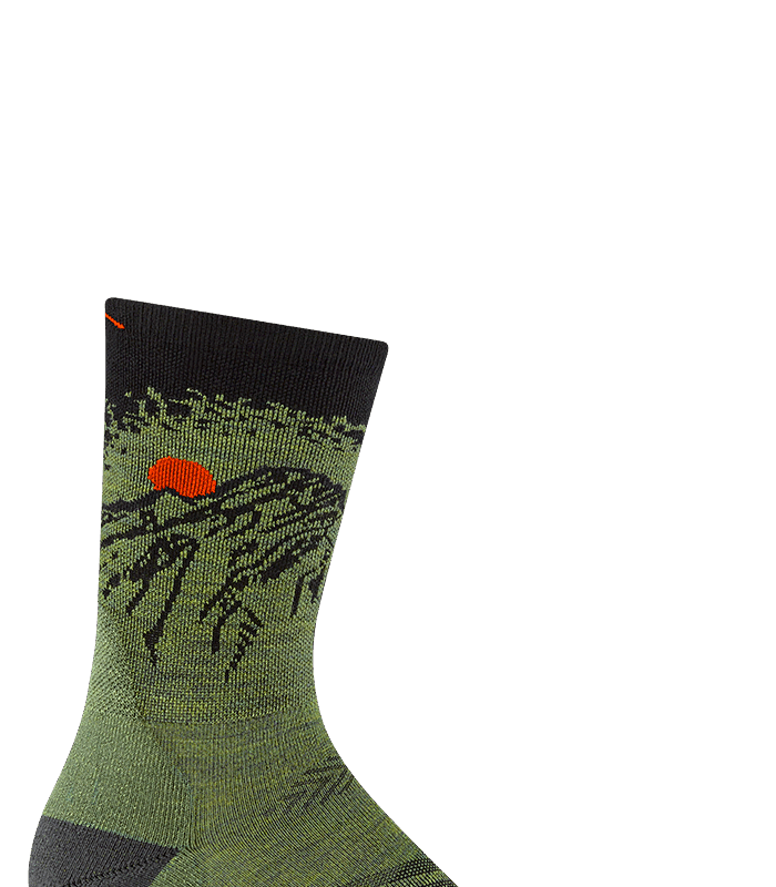 Darn Tough Vert Micro Crew Ultra-Lightweight with Cushion Lichen